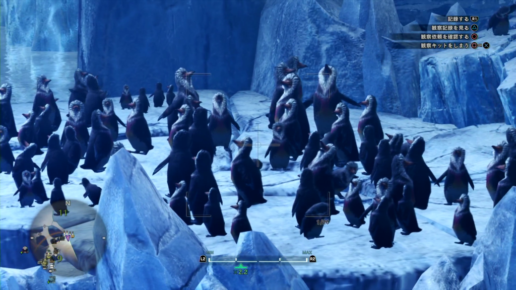 キブクレペンギンの群れ