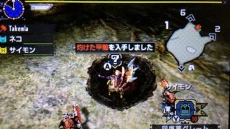 灼けた甲殻を入手しました
