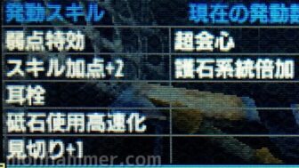 ネセト一式 耳栓見切り+1弱点特効超会心5スロスキル構成